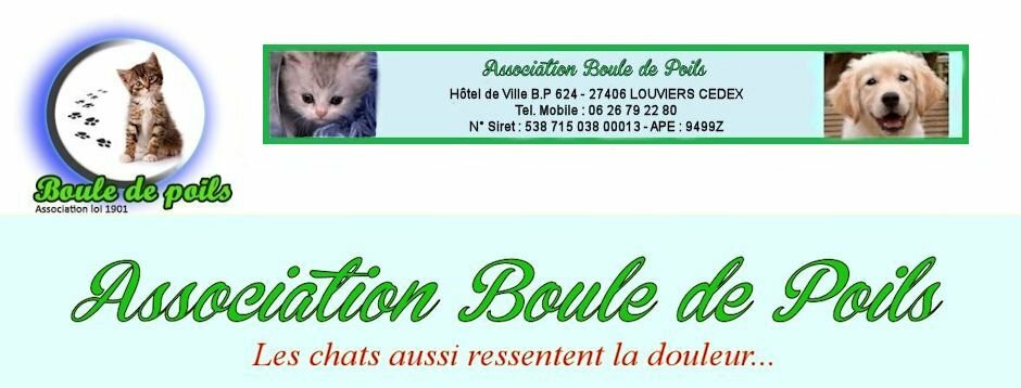 Boule de Poils